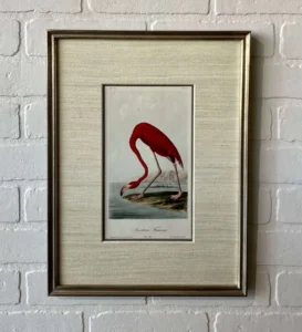 A framed picture of a flamingo on the wall.
