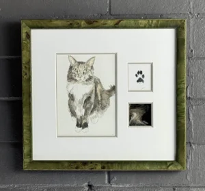 A picture of a cat and its paw prints.