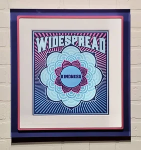 Widespread Panic, A framed picture of the widespread mind body and soul album cover.