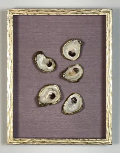A picture of some shells on top of a table.